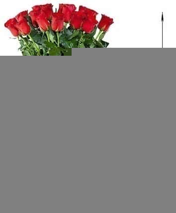 15 длинных роз 110 см 