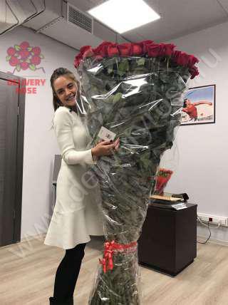 101 гигантских красных роз 190 см