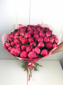 Коралловые пионы - 51 шт.