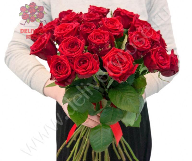 21 Красная роза, высота 1 метр
