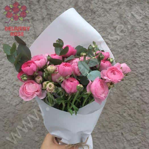 Spring delivery 19
