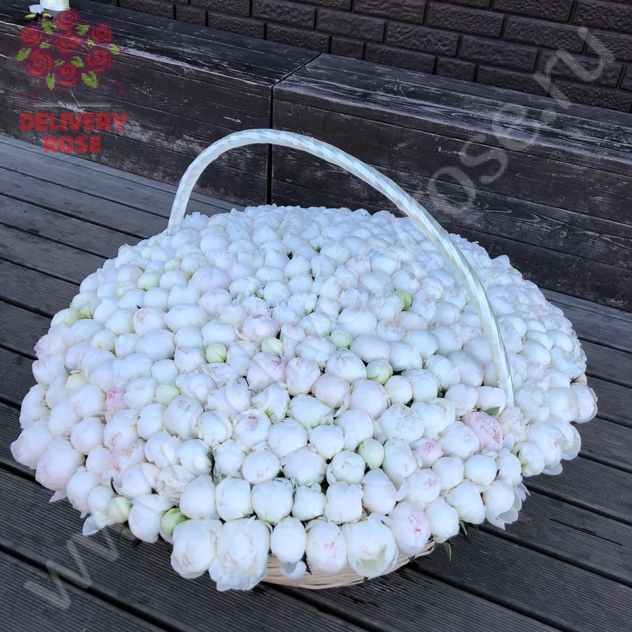 Белые пионы в корзине - 501 шт