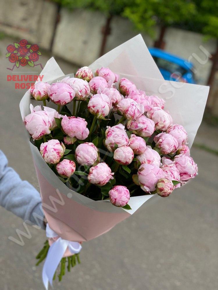 Букет пионов "Сара Бернар" 33 шт