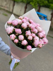 Букет пионов "Сара Бернар" 33 шт