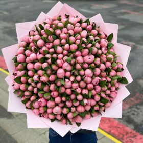 Розовые пионы - 201 шт.