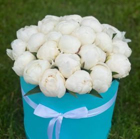Изысканные белые пионы в шляпной коробке 25шт.